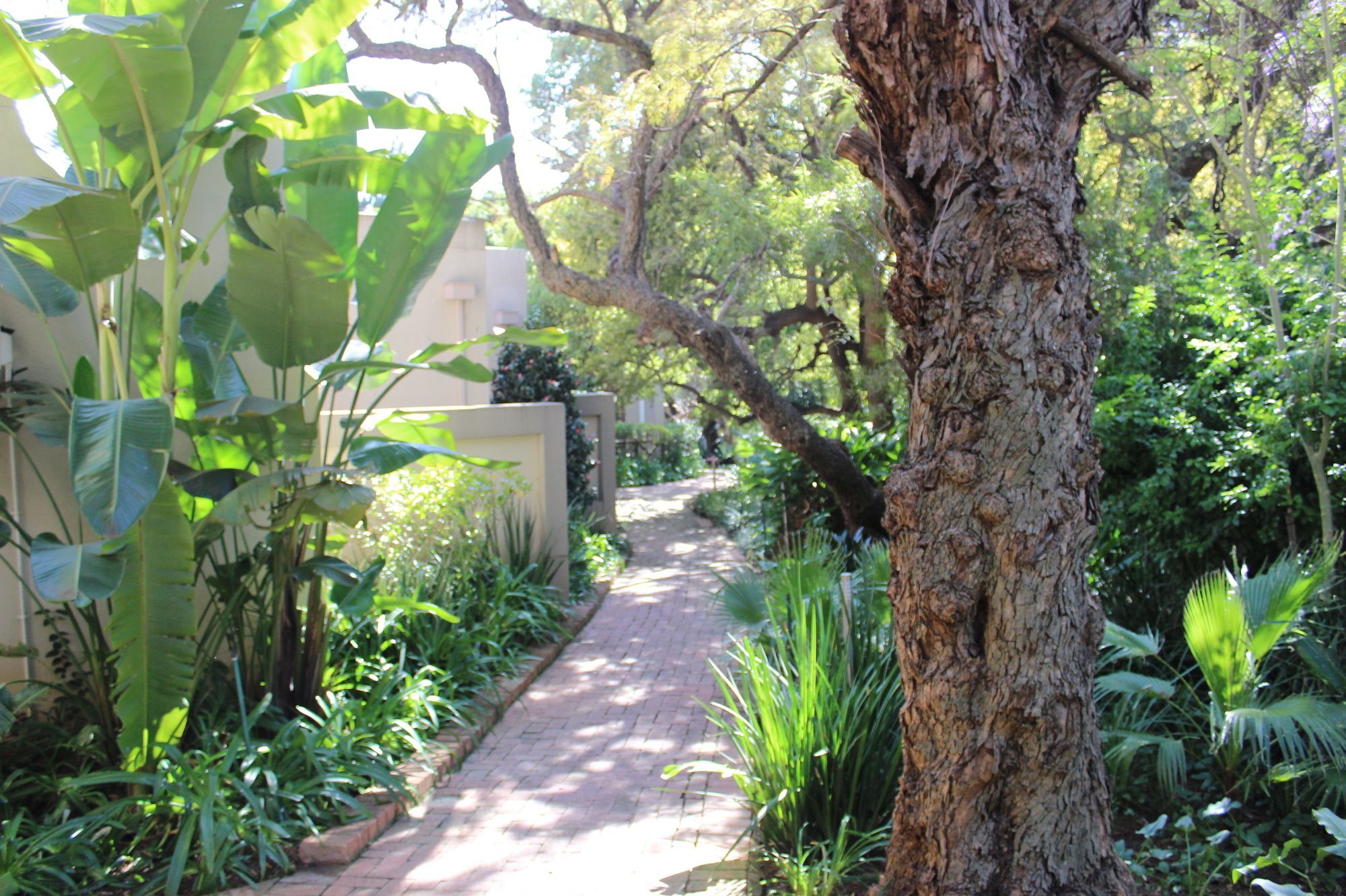 Village Ridge Boutique Stays Pretoria-Noord Exterior foto